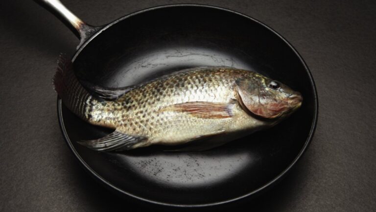 1 in 5 fish are mislabeled, study shows – NBC Chicago