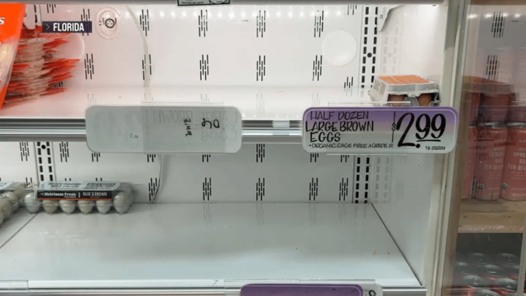 Egg shortage leads to empty shelves in several US states – NBC 6 South Florida