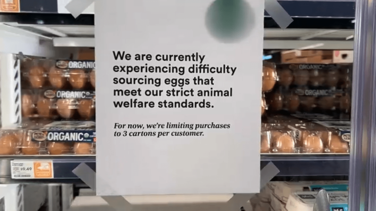 Egg shortage leads to empty shelves in several US states – NBC Chicago