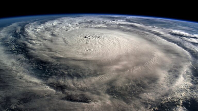 Human-caused ocean warming fueled recent hurricanes, study says – NBC 6 South Florida