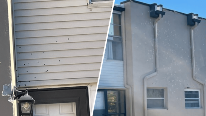 Sniper kills Florida man who fired 200 rounds near Daytona Beach – NBC 6 South Florida