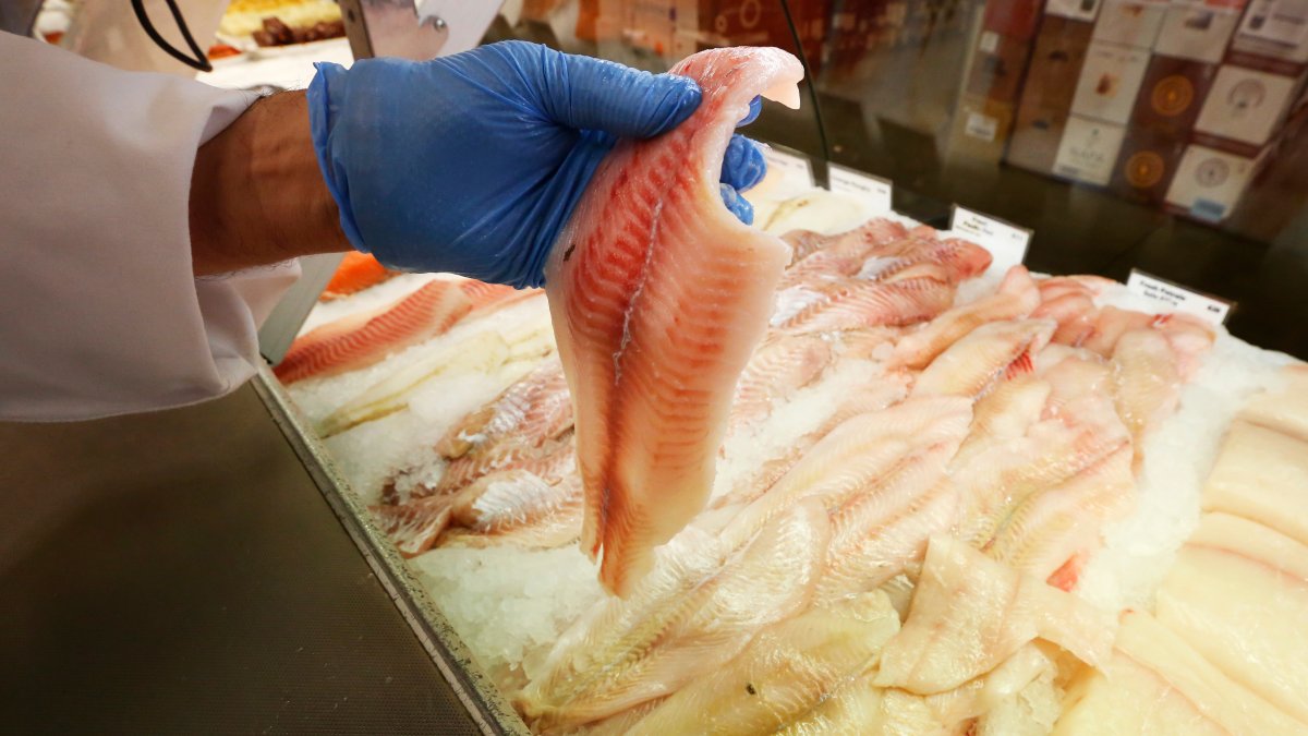 Testing reveals instances of mislabeled fish in Chicago area – NBC Chicago