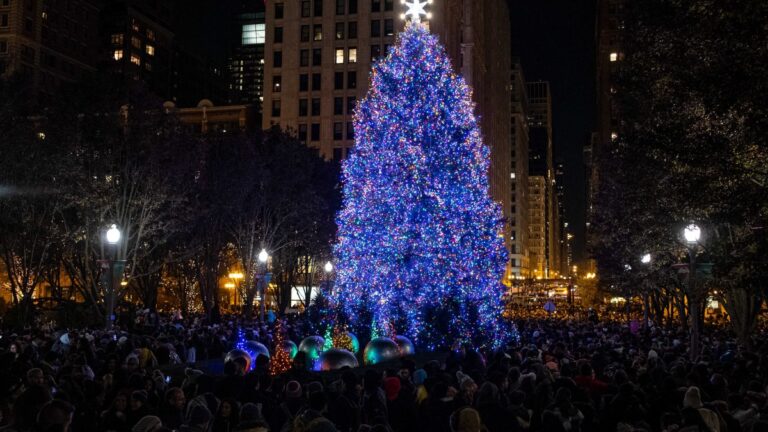 Things to do around the Chicago area on unofficial holiday kickoff weekend – NBC Chicago