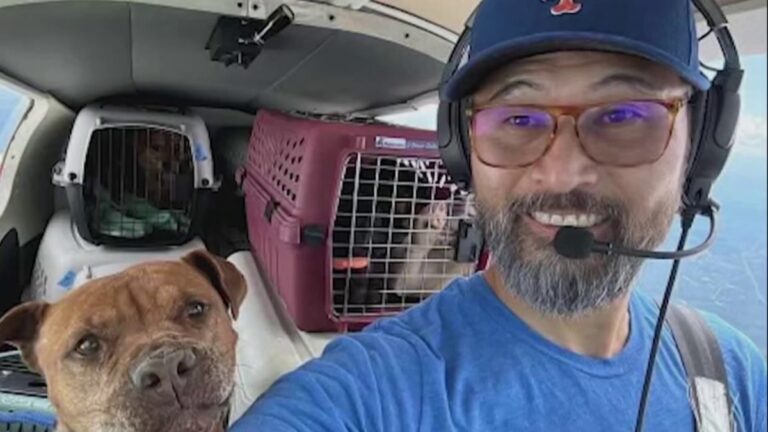 Virginia pilot killed on dog rescue mission – NBC4 Washington