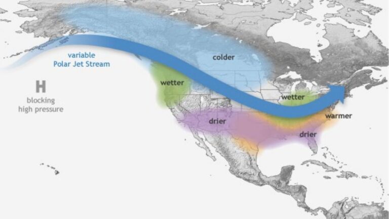 What will winter in South Florida look like this year? – NBC 6 South Florida