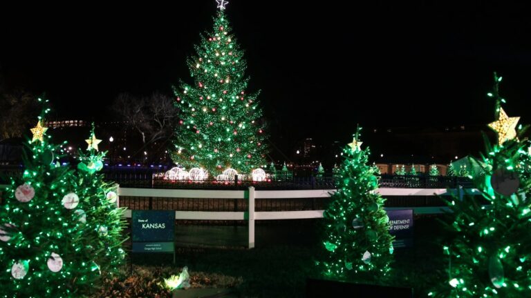 Biden lights National Christmas Tree outside White House – NBC4 Washington