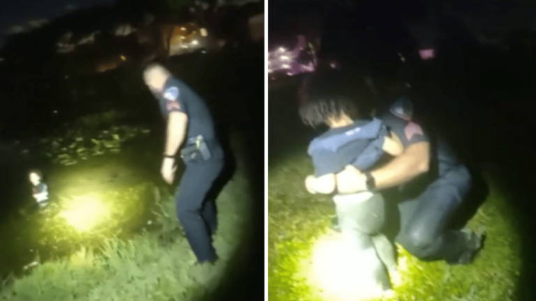 Bodycam shows Lauderhill officers rescuing 3-year-old from lake – NBC 6 South Florida