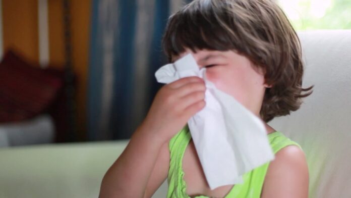 COVID, flu and RSV cases climb in Illinois ahead of holiday gatherings – NBC Chicago