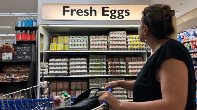 Egg prices may soon ‘flirt with record highs,’ supplier says – NBC 6 South Florida