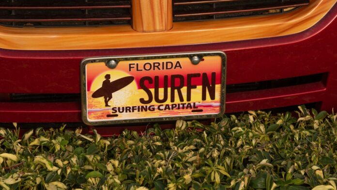 Florida popular specialty license plates – NBC 6 South Florida