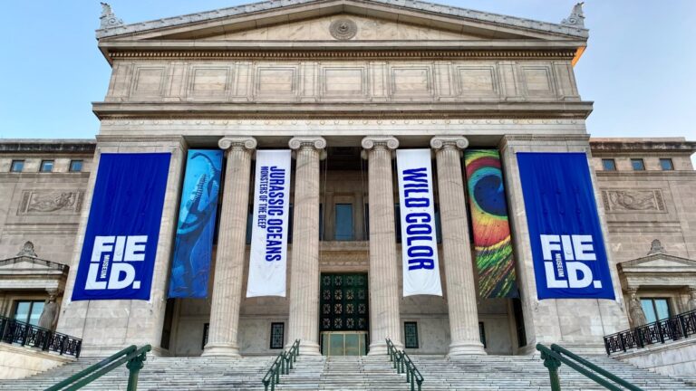 Free museums on Jan. 1 – NBC Chicago