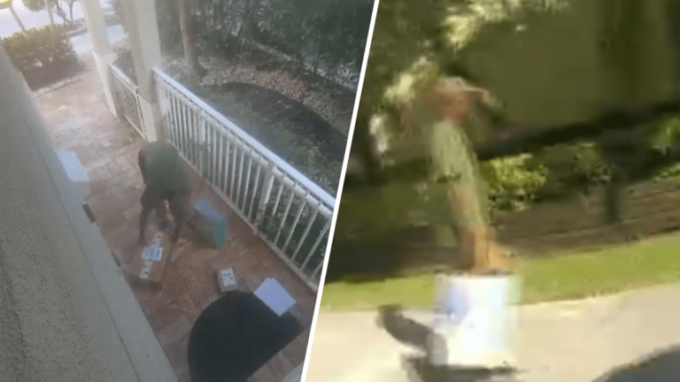 Hollywood porch pirate arrested after he was caught red-handed with packages: Police