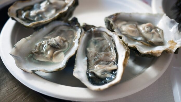 Illinois impacted by norovirus-driven oyster recall – NBC Chicago