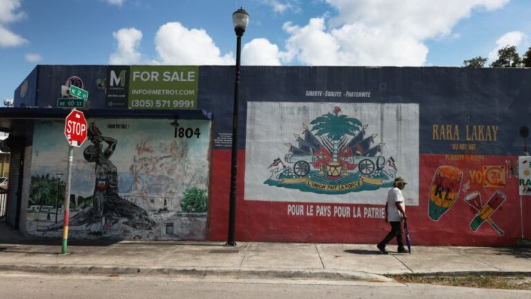 Little Haiti’s fight to keep its Haitian roots – NBC 6 South Florida