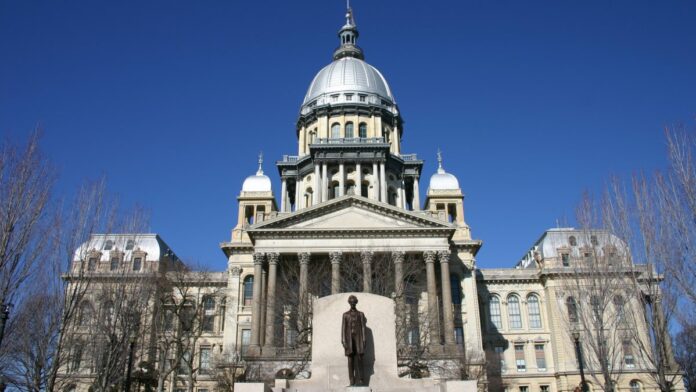 New Illinois laws for 2025 you should know about – NBC Chicago