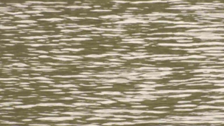 Shelby County, Illinois, coroner found dead in apparent hunting accident – NBC Chicago