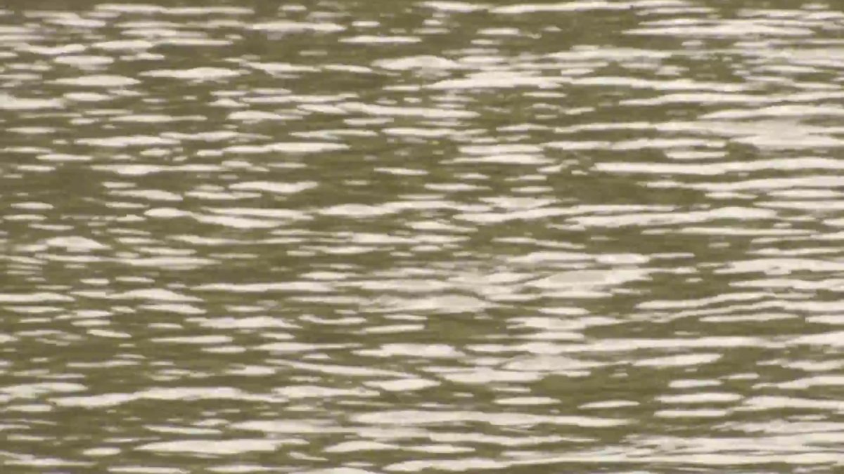 Shelby County, Illinois, coroner found dead in apparent hunting accident – NBC Chicago