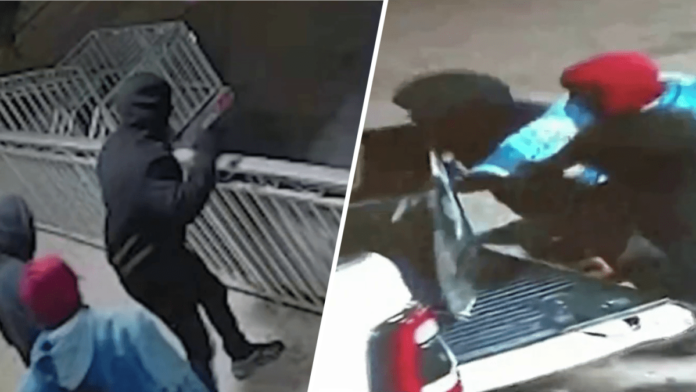 Surveillance video shows thieves scrambling to steal Wynwood smoke shop safe – NBC 6 South Florida
