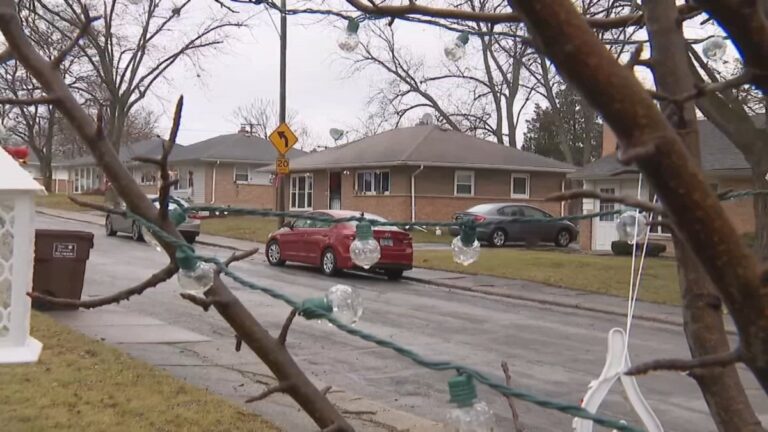 Suspect arrested after 2 women found shot to death in suburban home – NBC Chicago