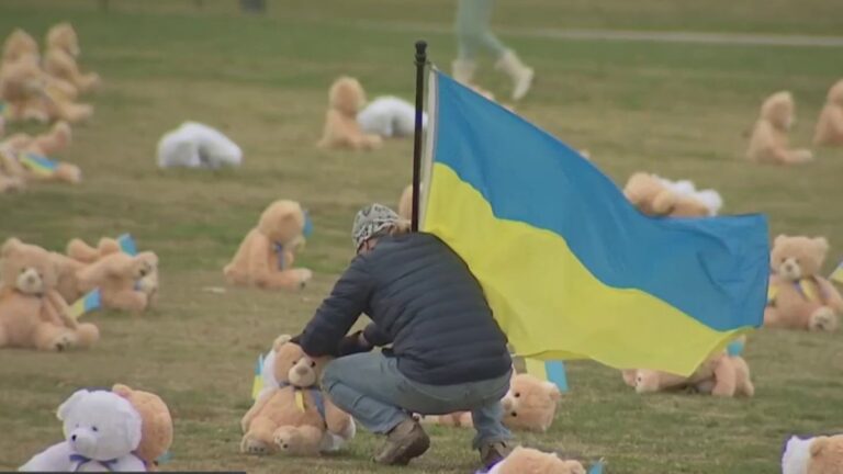 Teddy bears honor Ukrainian children killed in the war with Russia – NBC4 Washington