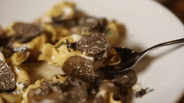 The Food Guy Steve Dolinsky traces truffles from Europe to Chicago – NBC Chicago