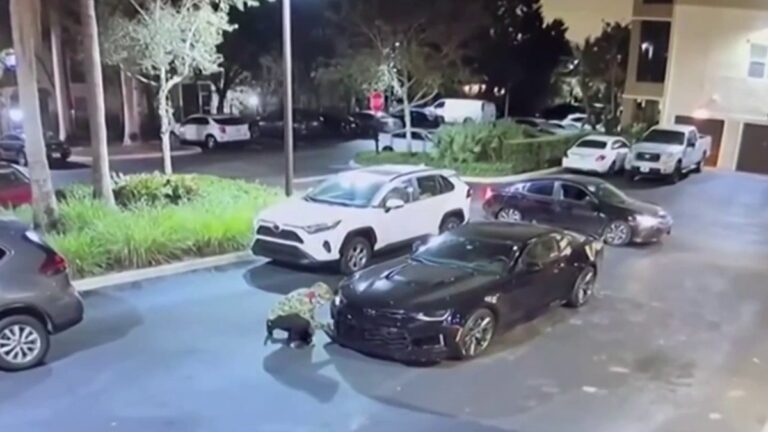 Thieves caught on camera stealing car from Coral Springs complex – NBC 6 South Florida