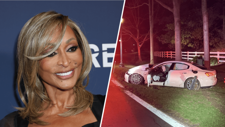 ‘Real Housewives of Potomac’ star Karen Huger found guilty of DUI – NBC4 Washington